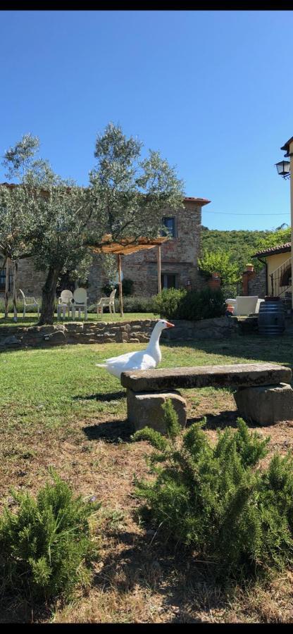 Agriturismo La Posta Reale Castiglion Fibocchi Buitenkant foto