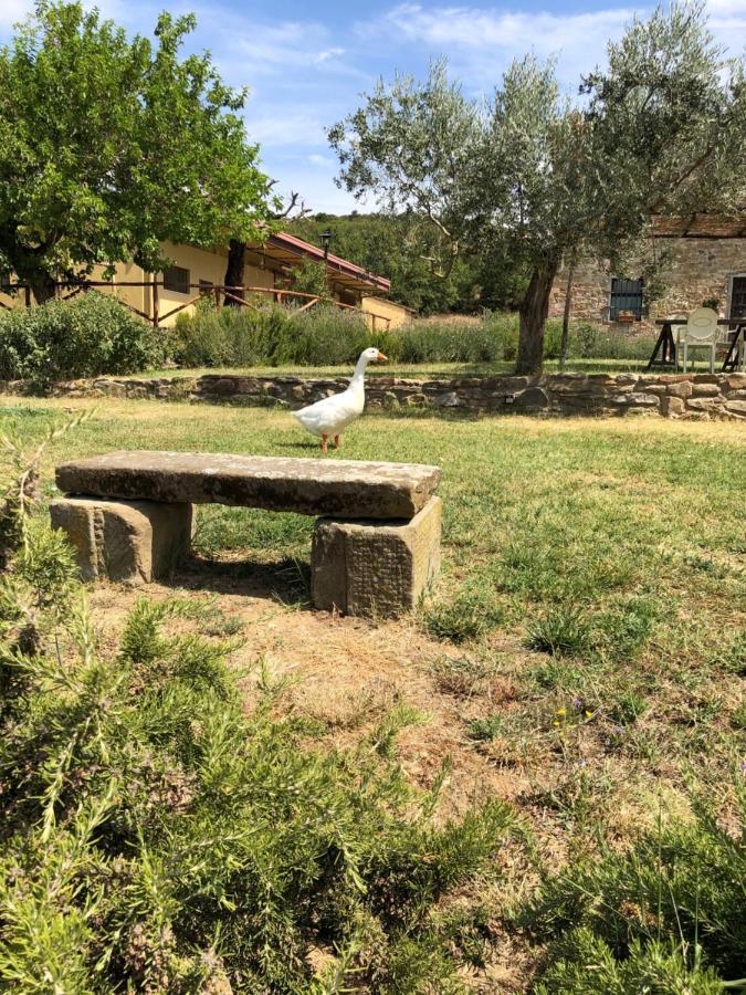 Agriturismo La Posta Reale Castiglion Fibocchi Buitenkant foto
