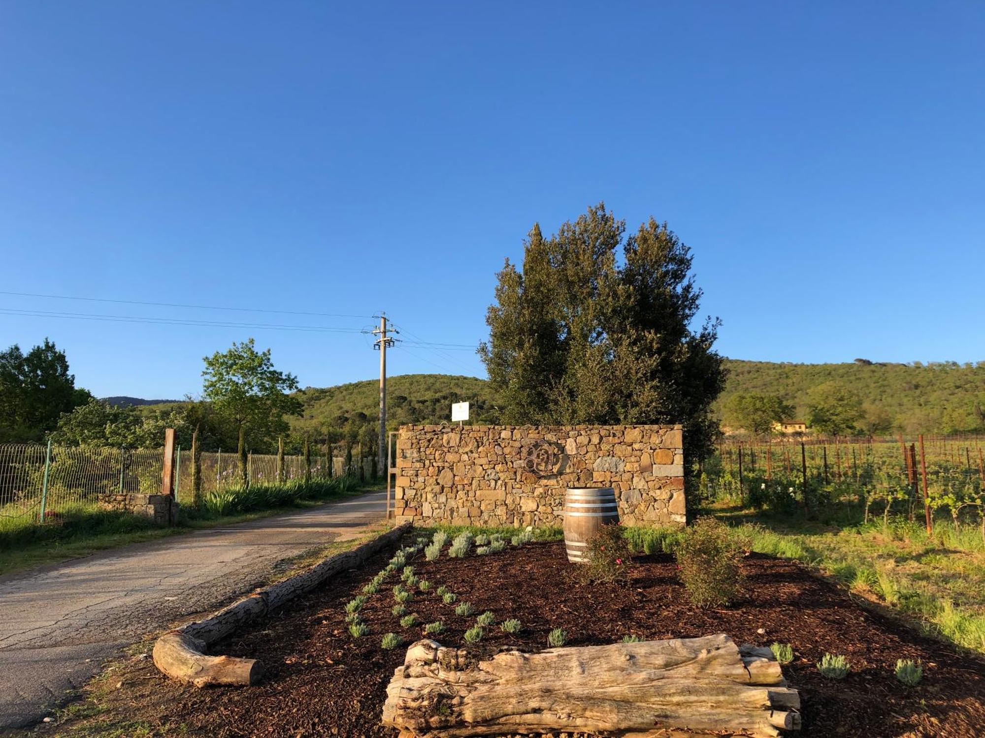 Agriturismo La Posta Reale Castiglion Fibocchi Buitenkant foto