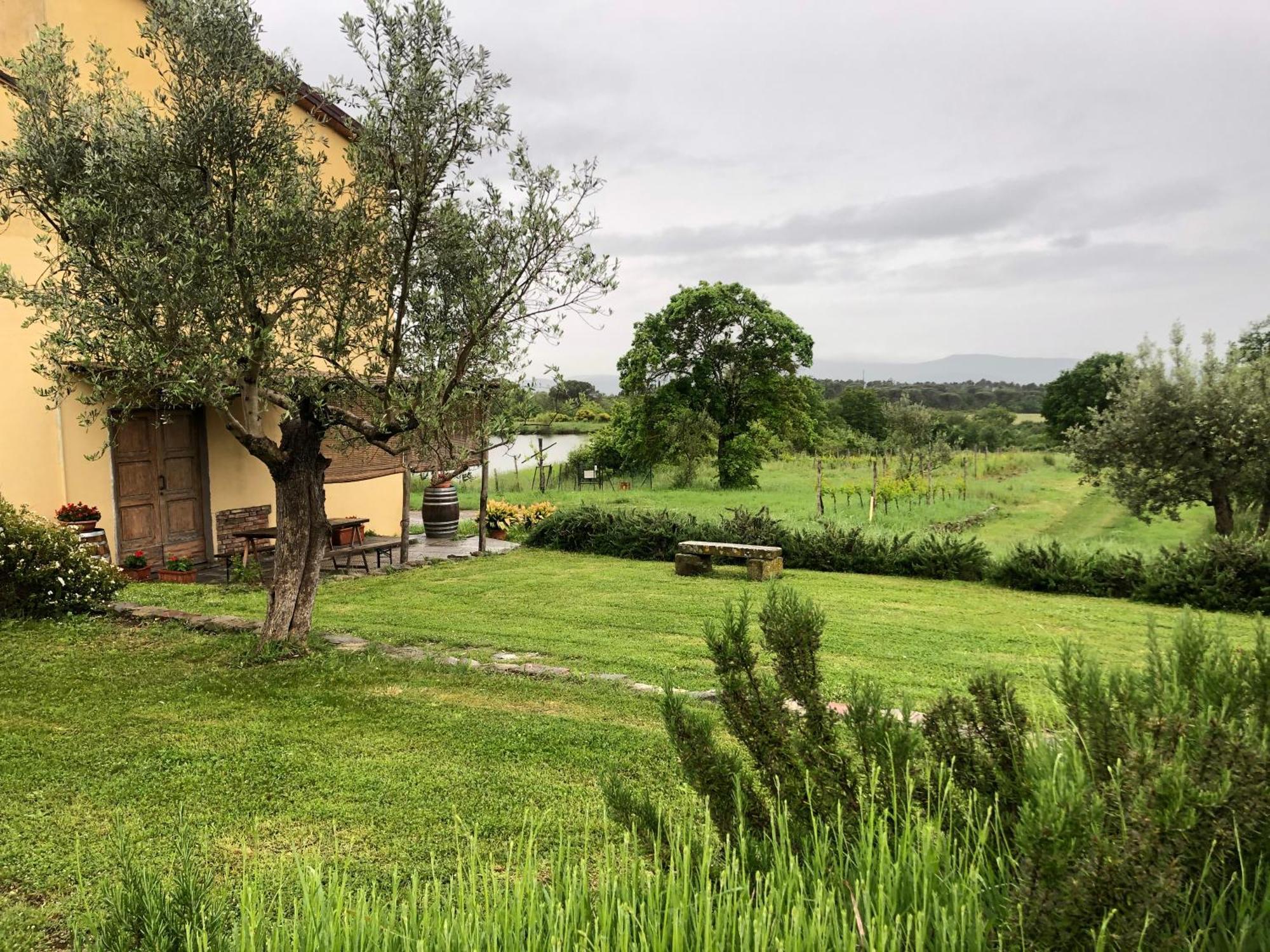 Agriturismo La Posta Reale Castiglion Fibocchi Buitenkant foto