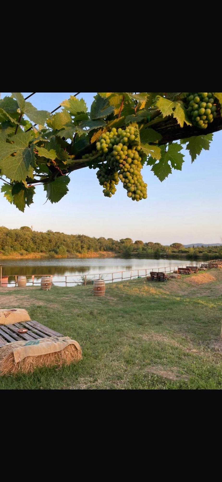 Agriturismo La Posta Reale Castiglion Fibocchi Buitenkant foto