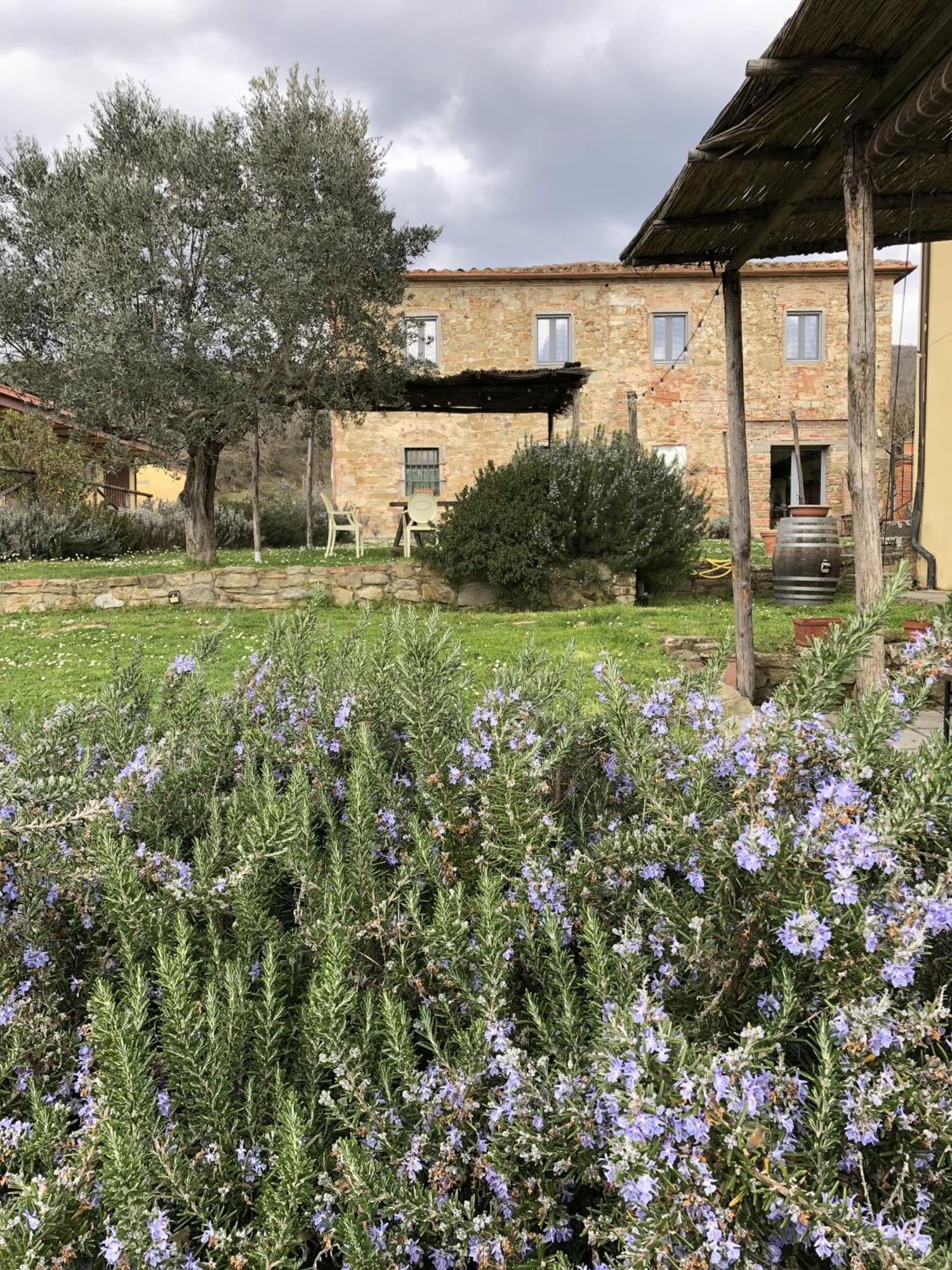 Agriturismo La Posta Reale Castiglion Fibocchi Buitenkant foto