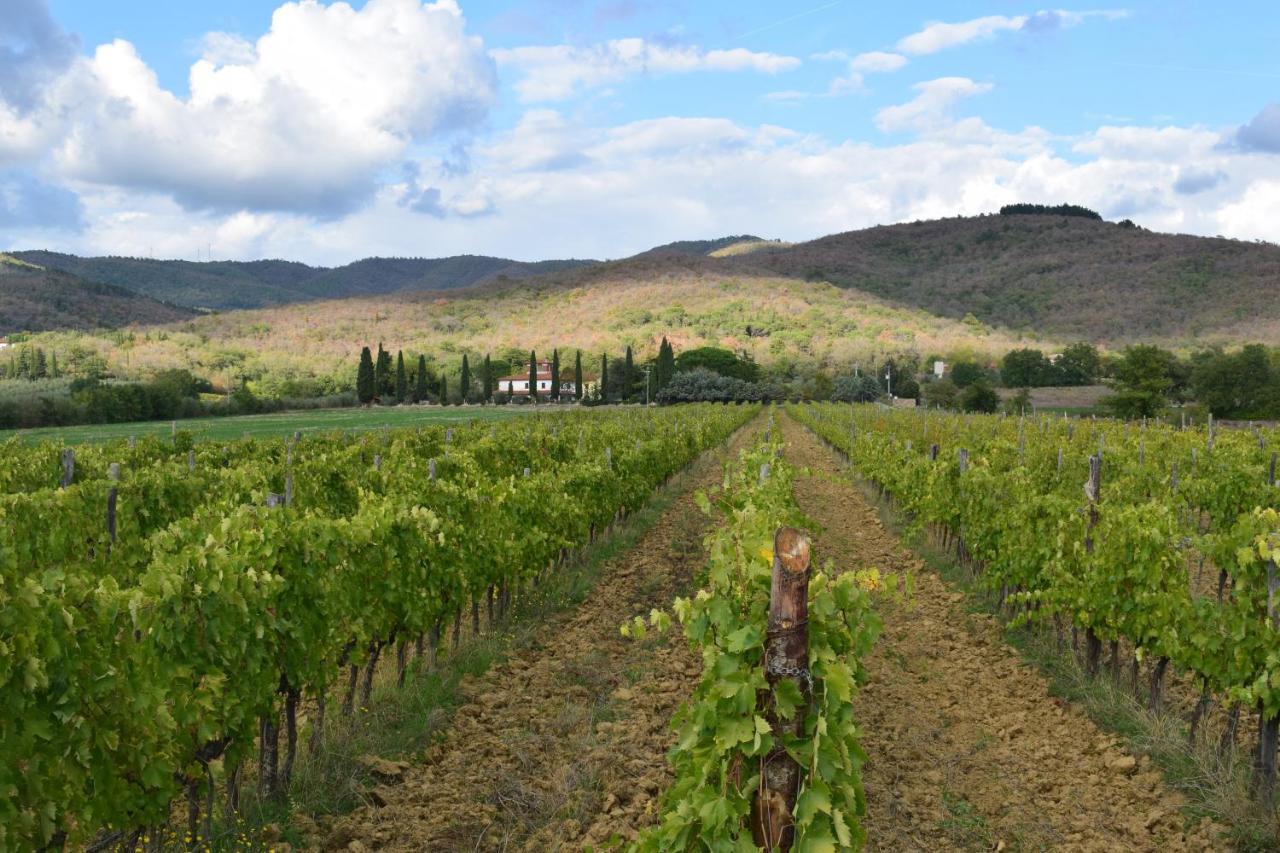 Agriturismo La Posta Reale Castiglion Fibocchi Buitenkant foto
